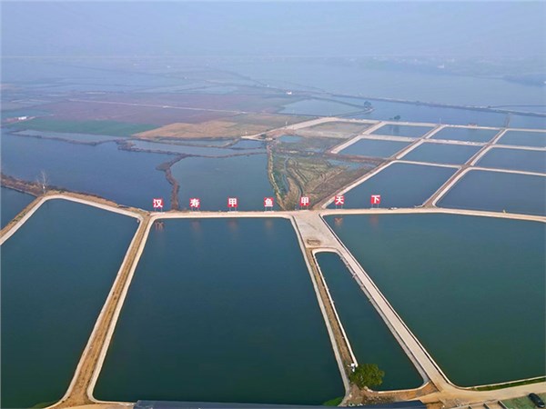 尊龙凯时农业集团：绿色发展助力乡村振兴