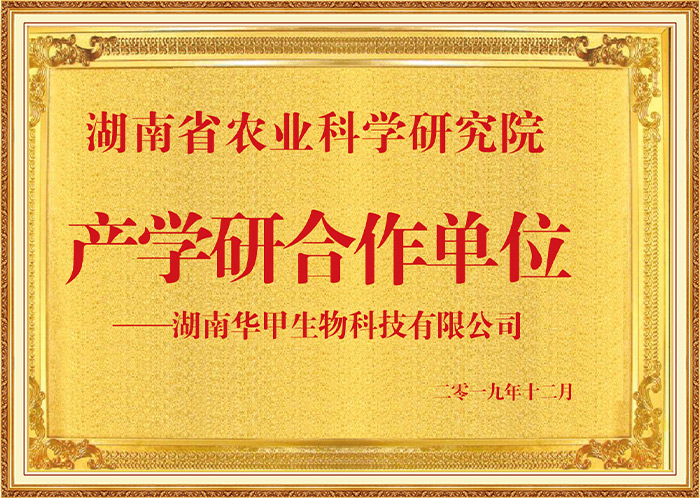 尊龙凯时农业集团：产学研合作典范，开启甲鱼精深加工新征程