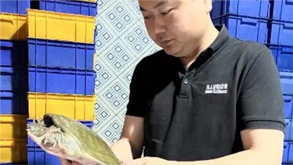 乡村追梦人｜杨宇航：像甲鱼一样，得到“高压锅”的认可